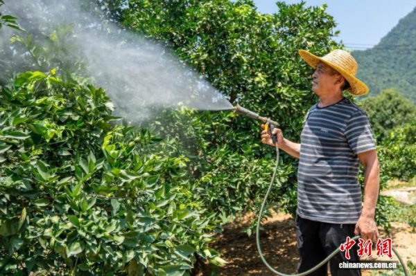 股票六倍杠杆风险登录 （乡村行·看振兴）三峡夷陵移民村之变：从“移居”到“宜居”