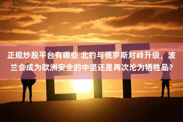 正规炒股平台有哪些 北约与俄罗斯对峙升级，波兰会成为欧洲安全的中坚还是再次沦为牺牲品？